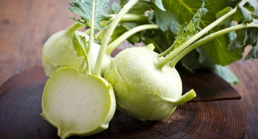 Pěstování a péče o kedlubnové zelí na volném prostranství